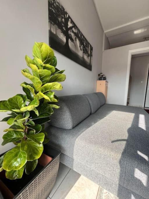 Maria'S Sunlit Apartment Pireu Exterior foto